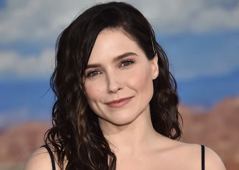 Why Did Sophia Bush Leave Chicago P.D.? What She's Up To Now